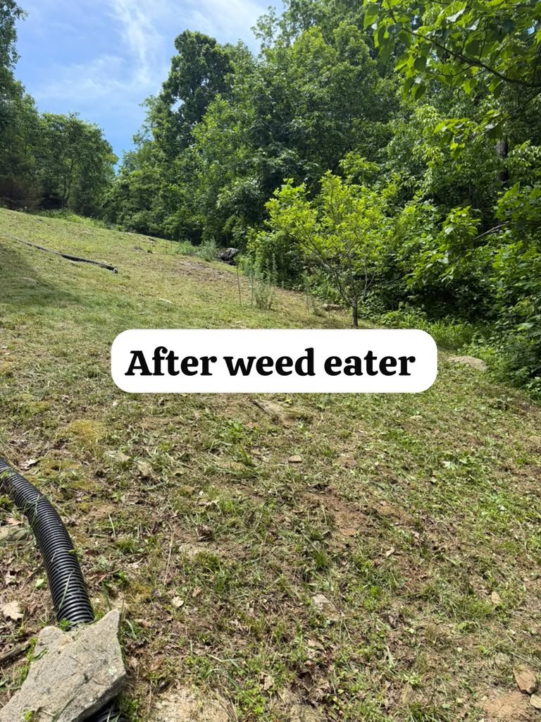 Weed trimming project photograph 3